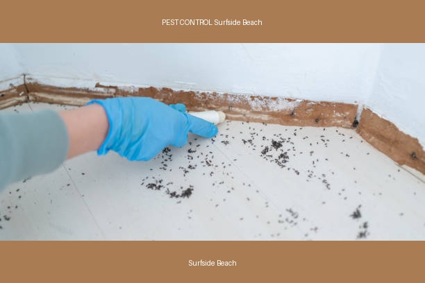 PEST CONTROL Surfside Beach